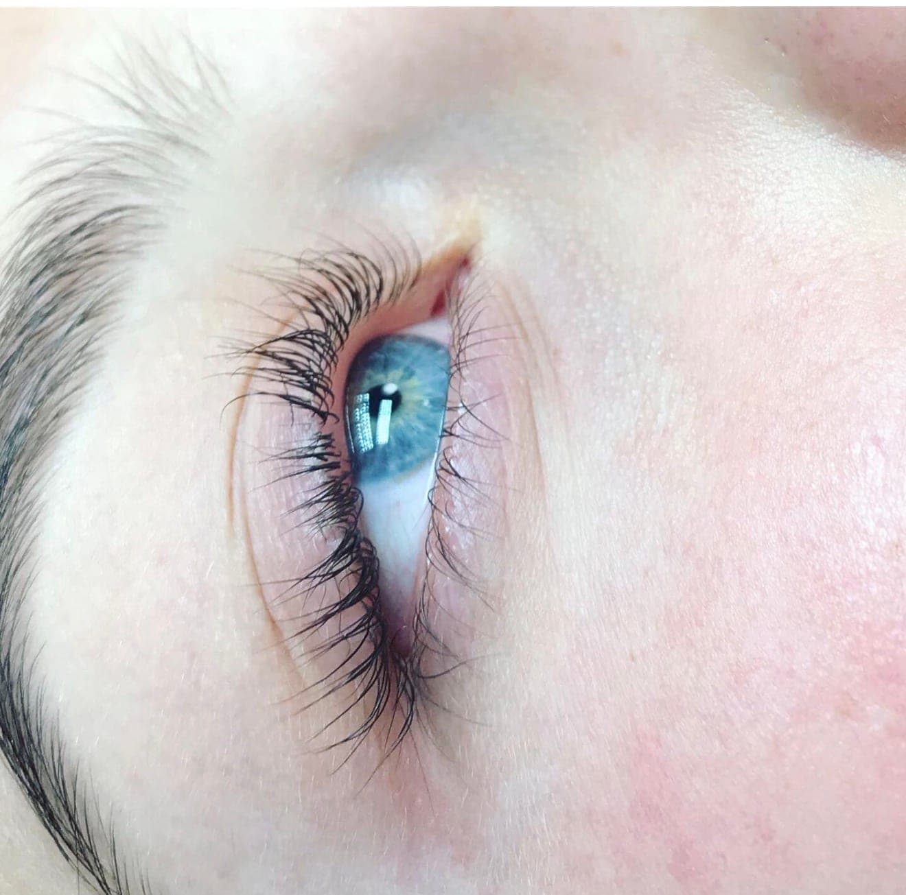 Macro of a single blue-grey eye with a clean lash set